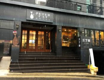 Goodstay Petercat Hotel Hongdae